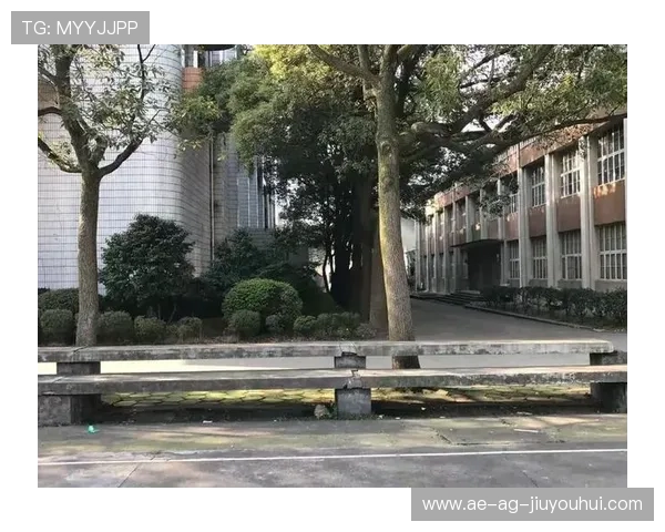 宿舍楼顶足球场：大学生活中的独特运动天地与青春记忆